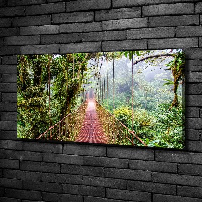 Canvas wall art Bridge in the tropics