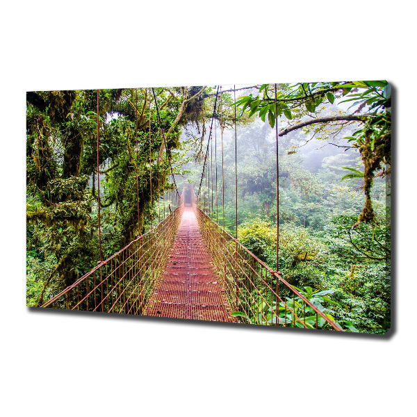 Canvas wall art Bridge in the tropics