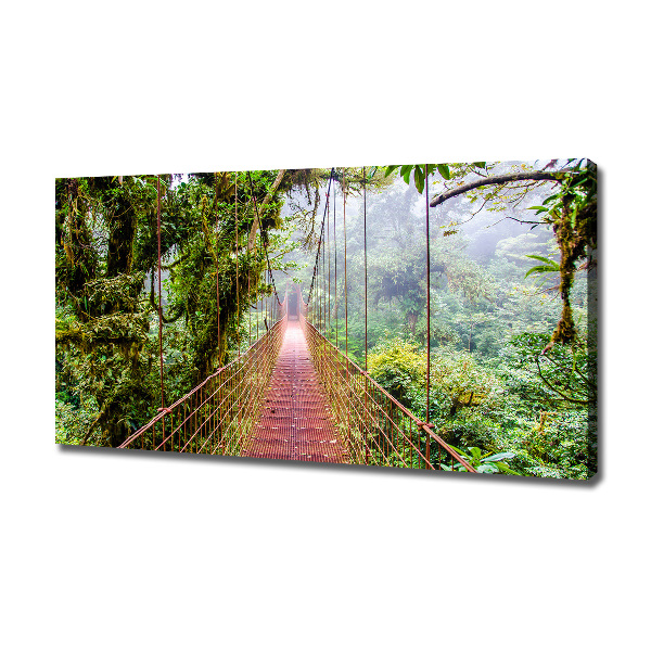 Canvas wall art Bridge in the tropics