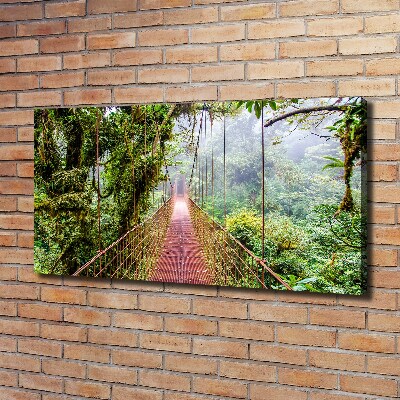 Canvas wall art Bridge in the tropics