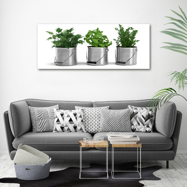 Canvas wall art Aromatic plants