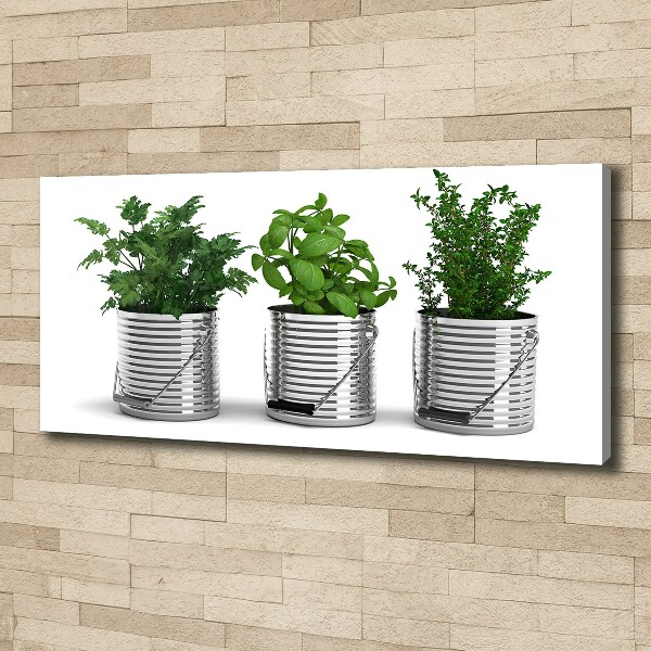 Canvas wall art Aromatic plants