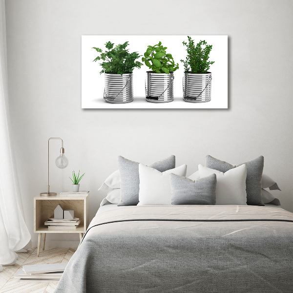 Canvas wall art Aromatic plants