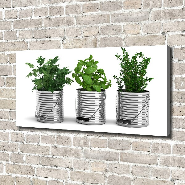 Canvas wall art Aromatic plants