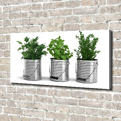 Canvas wall art Aromatic plants