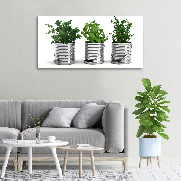 Canvas wall art Aromatic plants