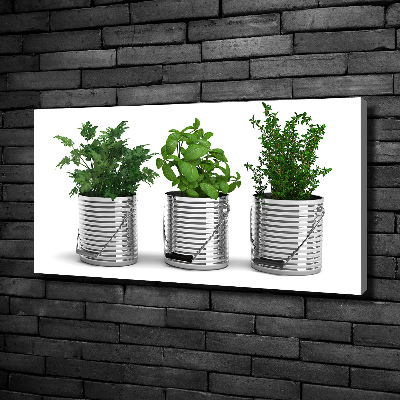 Canvas wall art Aromatic plants