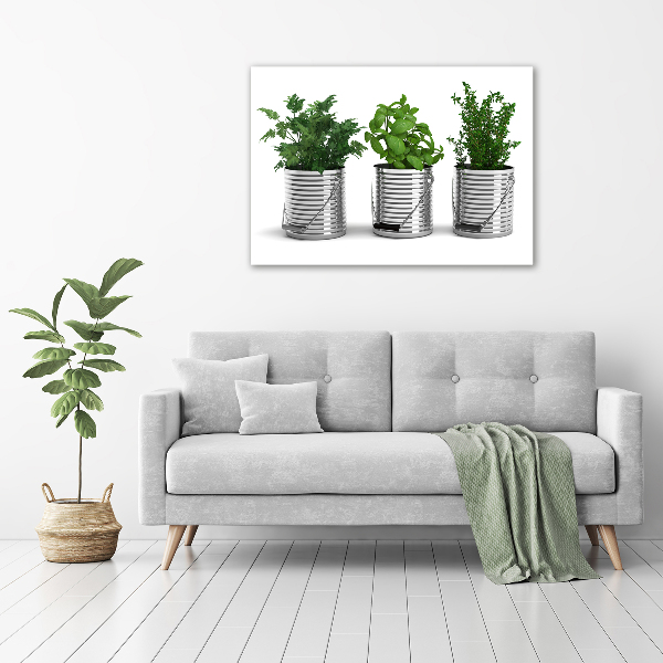 Canvas wall art Aromatic plants