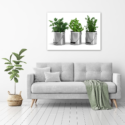 Canvas wall art Aromatic plants