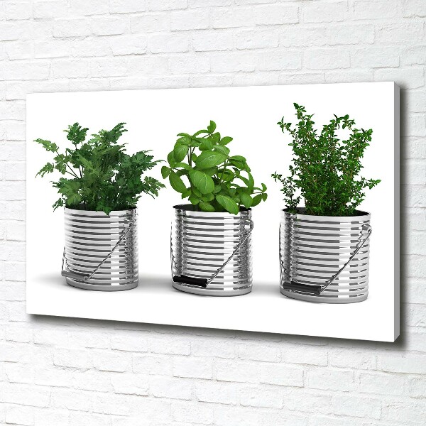 Canvas wall art Aromatic plants