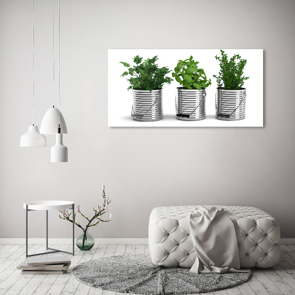 Canvas wall art Aromatic plants