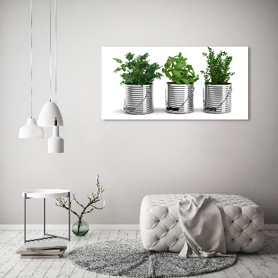 Canvas wall art Aromatic plants