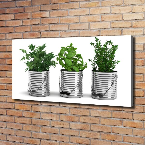 Canvas wall art Aromatic plants