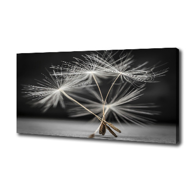 Canvas wall art Dandelion seeds