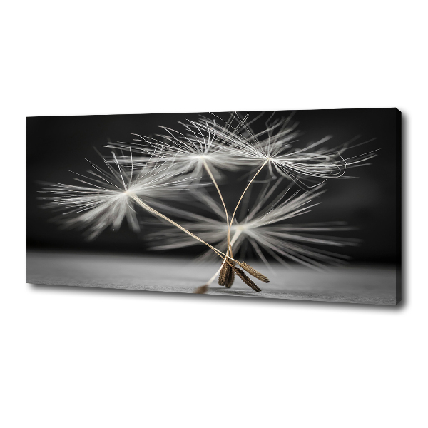 Canvas wall art Dandelion seeds