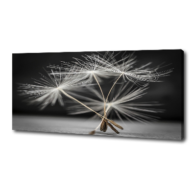 Canvas wall art Dandelion seeds