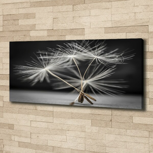 Canvas wall art Dandelion seeds