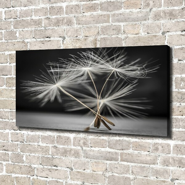 Canvas wall art Dandelion seeds