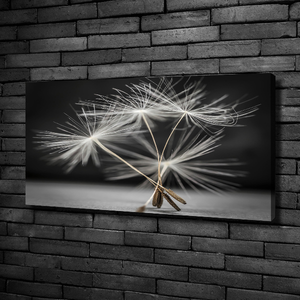 Canvas wall art Dandelion seeds