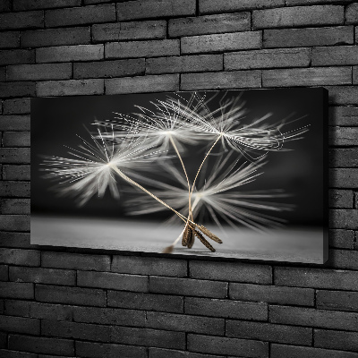 Canvas wall art Dandelion seeds