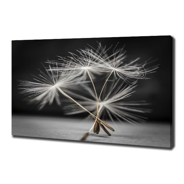 Canvas wall art Dandelion seeds