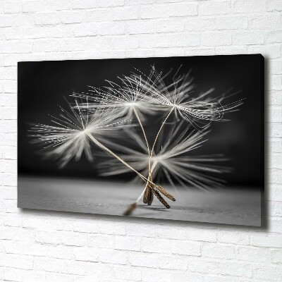 Canvas wall art Dandelion seeds