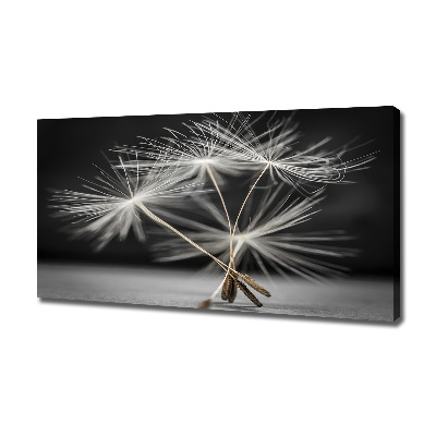 Canvas wall art Dandelion seeds