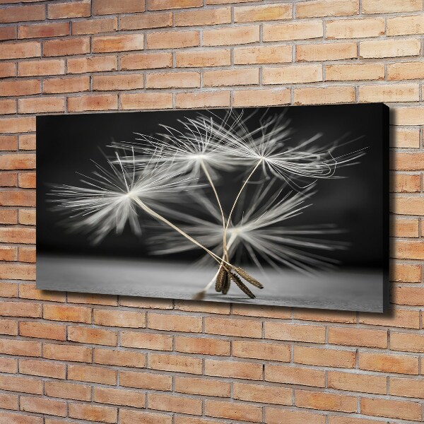 Canvas wall art Dandelion seeds