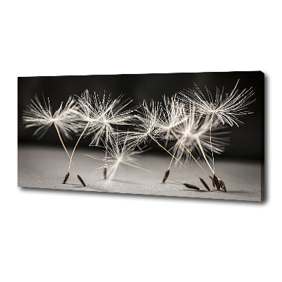 Canvas wall art Dandelion seeds