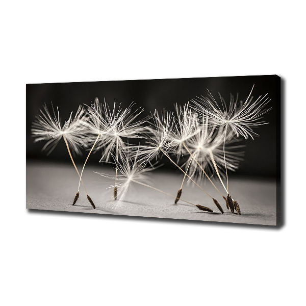 Canvas wall art Dandelion seeds