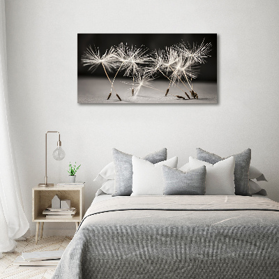 Canvas wall art Dandelion seeds