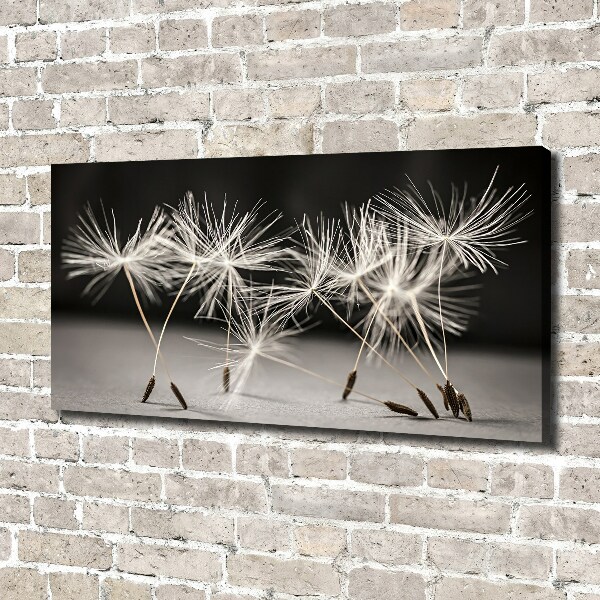 Canvas wall art Dandelion seeds