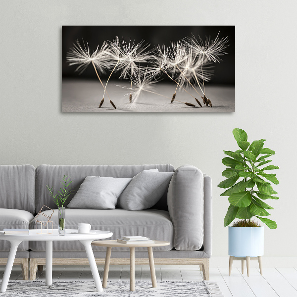 Canvas wall art Dandelion seeds