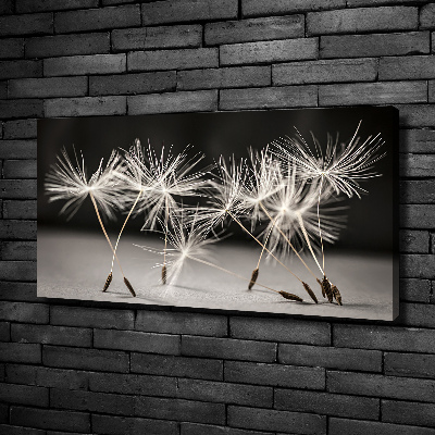 Canvas wall art Dandelion seeds