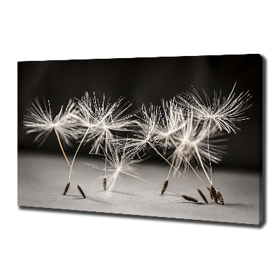 Canvas wall art Dandelion seeds