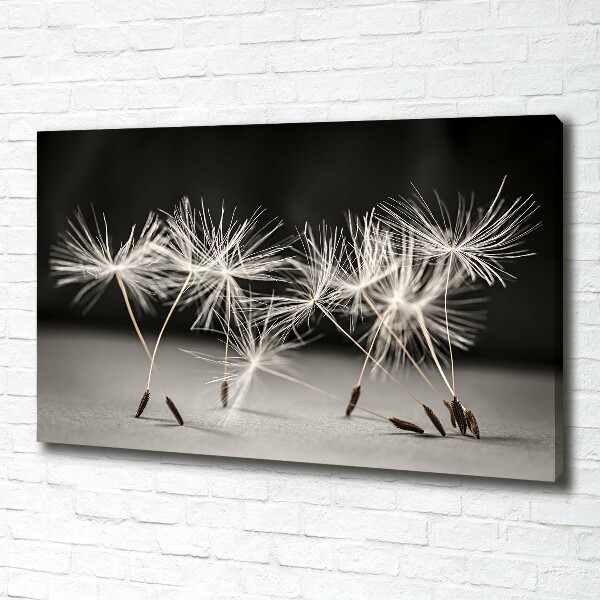 Canvas wall art Dandelion seeds