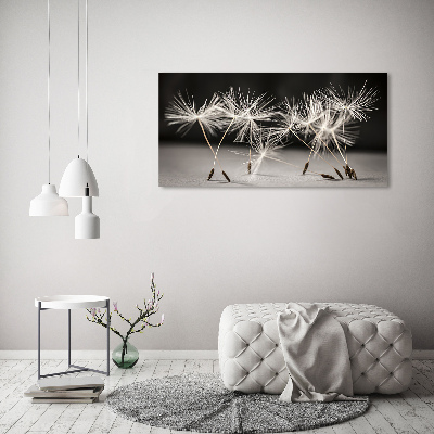 Canvas wall art Dandelion seeds