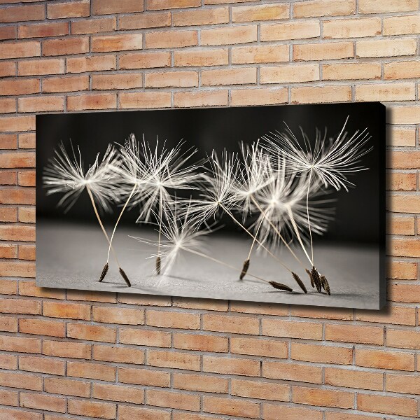 Canvas wall art Dandelion seeds