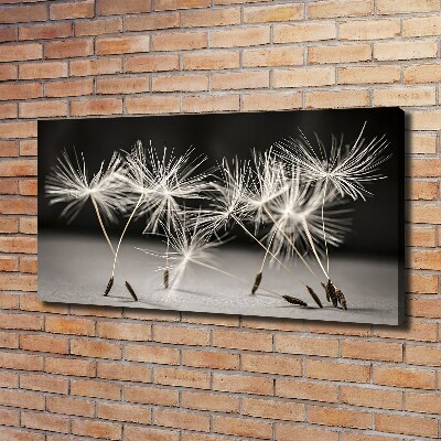 Canvas wall art Dandelion seeds