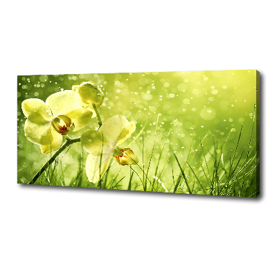 Canvas wall art Orchid