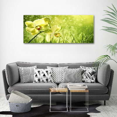 Canvas wall art Orchid