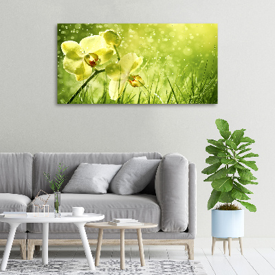 Canvas wall art Orchid