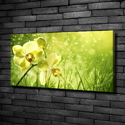 Canvas wall art Orchid