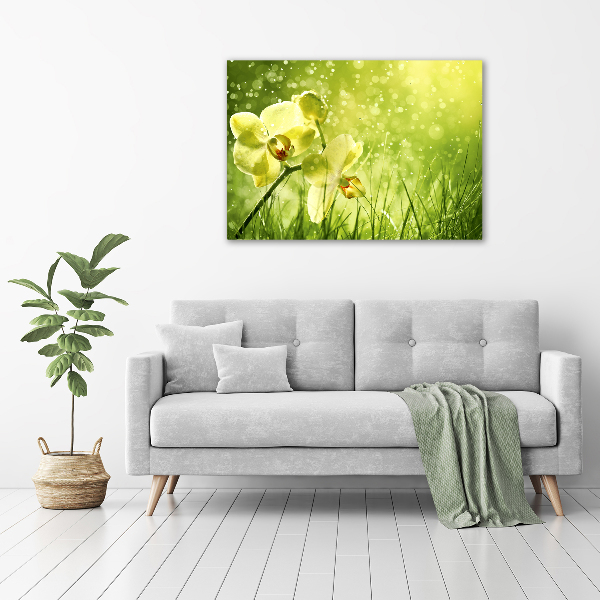 Canvas wall art Orchid