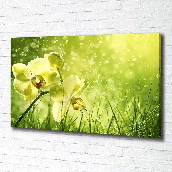 Canvas wall art Orchid