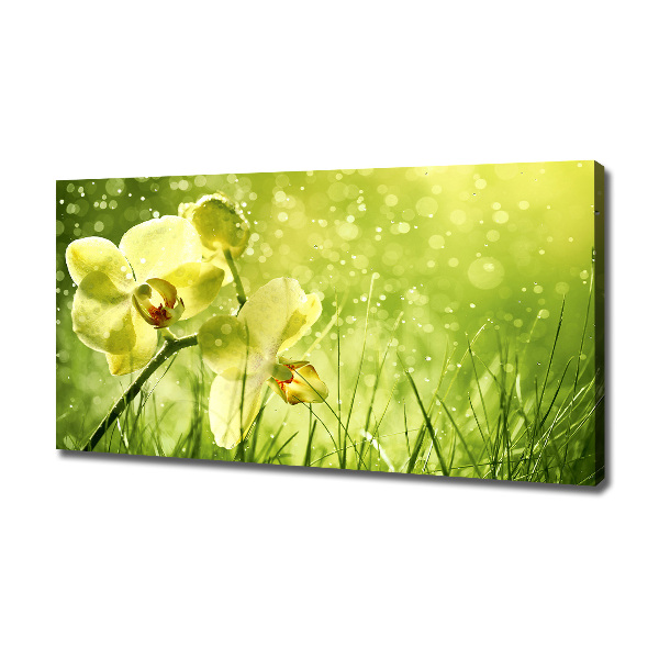 Canvas wall art Orchid