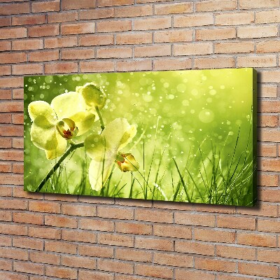 Canvas wall art Orchid