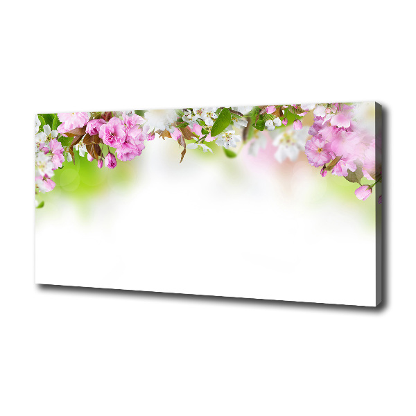 Spring flowers