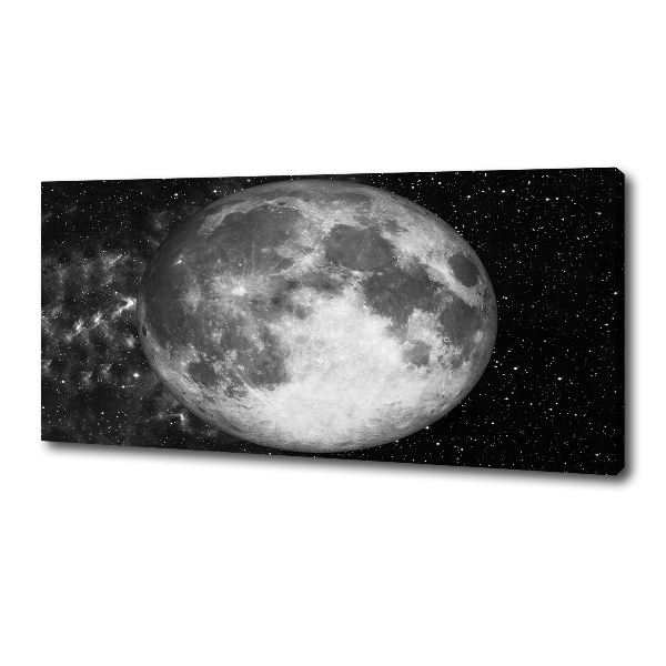 Canvas wall art Moon