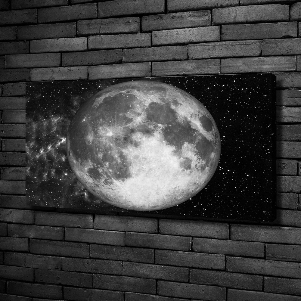 Canvas wall art Moon